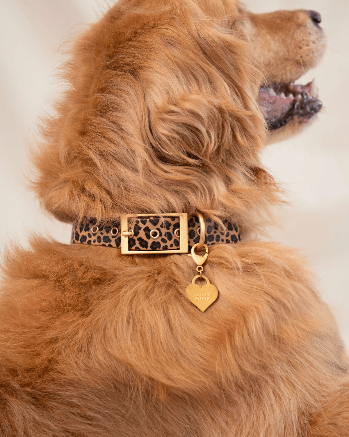 Furry dog collar hotsell