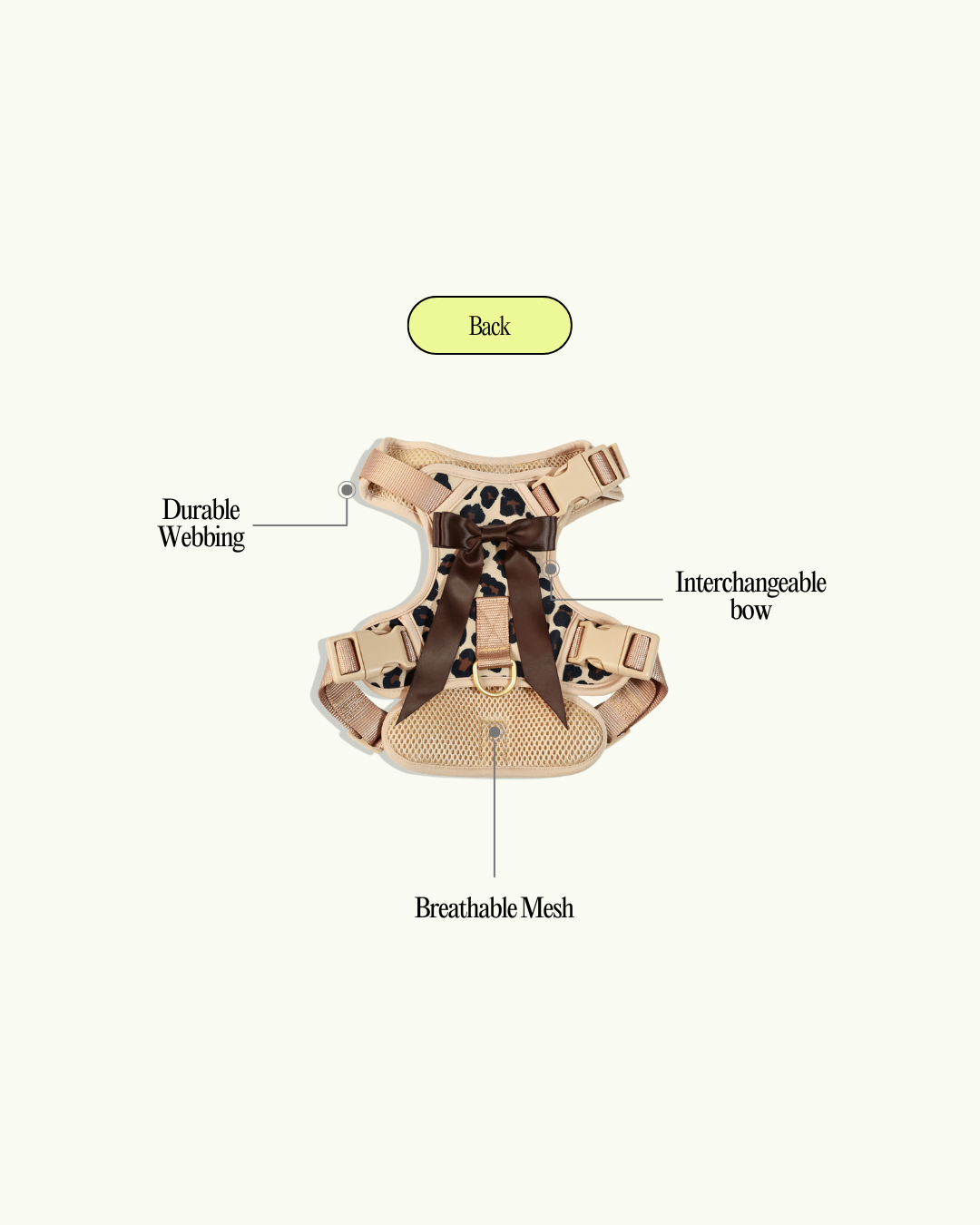 5_6f1602ba-ca14-4c97-b66d-3194a5f2ba78.png