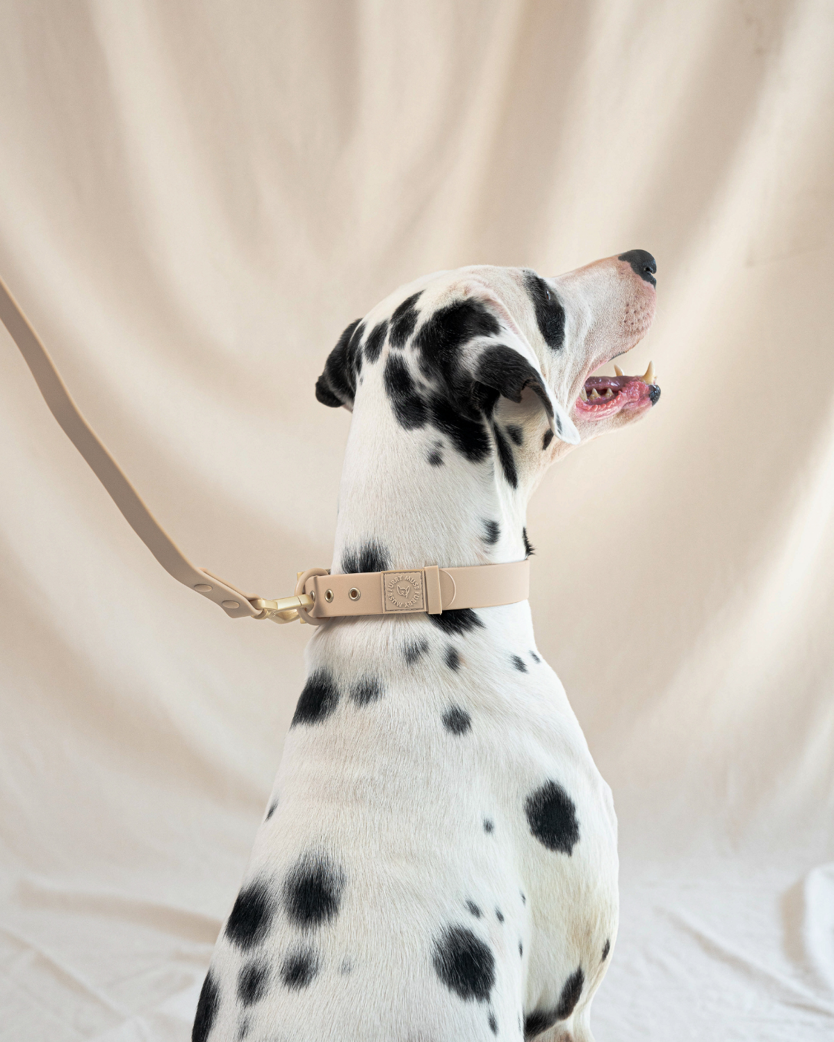 Wander! Waterproof Collar Latte