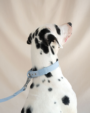 Wander! Multiway Waterproof Leash Sky