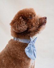 Wander! Waterproof Collar Sky