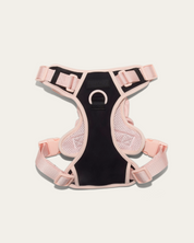 Wander! Bow Harness Ballerina for dog
