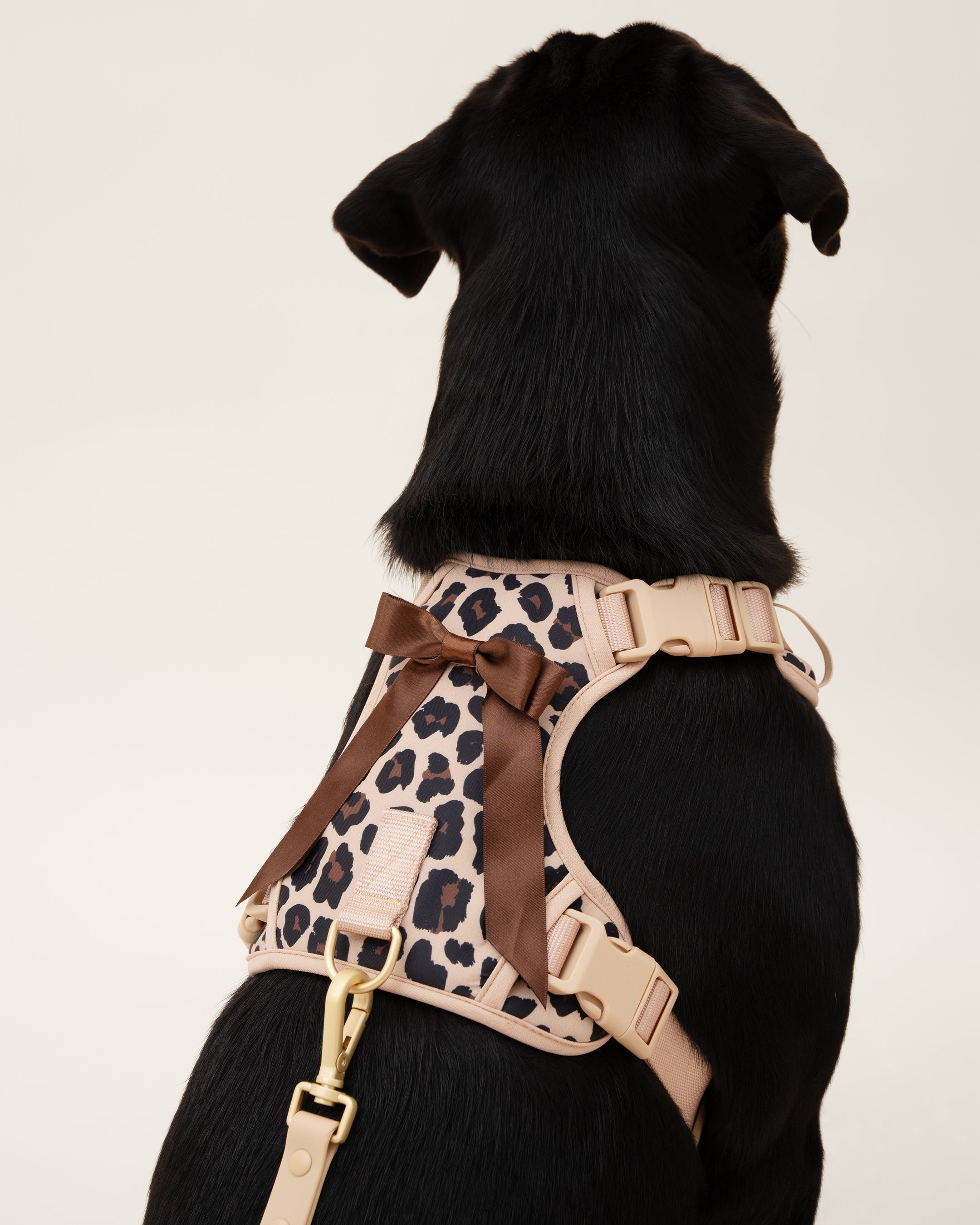 Furry Muse Starter Kit - Leopard - FURRY MUSE STARTER - KIT - LEO - XS - S