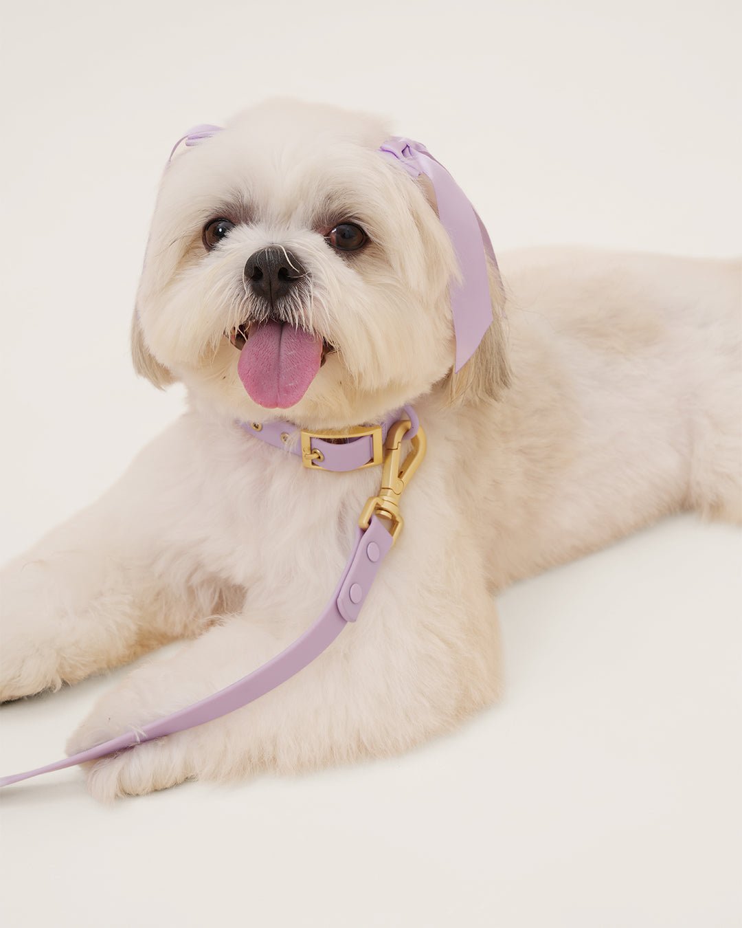 Furry Muse Starter Kit - Lilac - FURRY MUSE