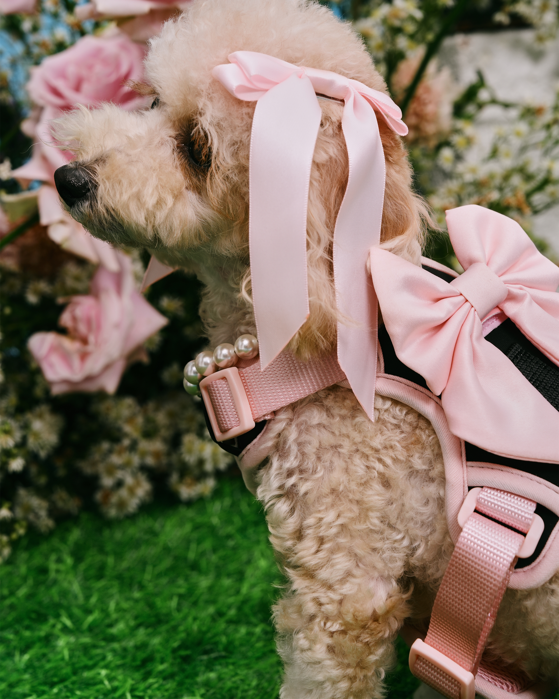 Petite Bow Clips - Blossom - FURRY MUSE WAN - HAC - OS - PN
