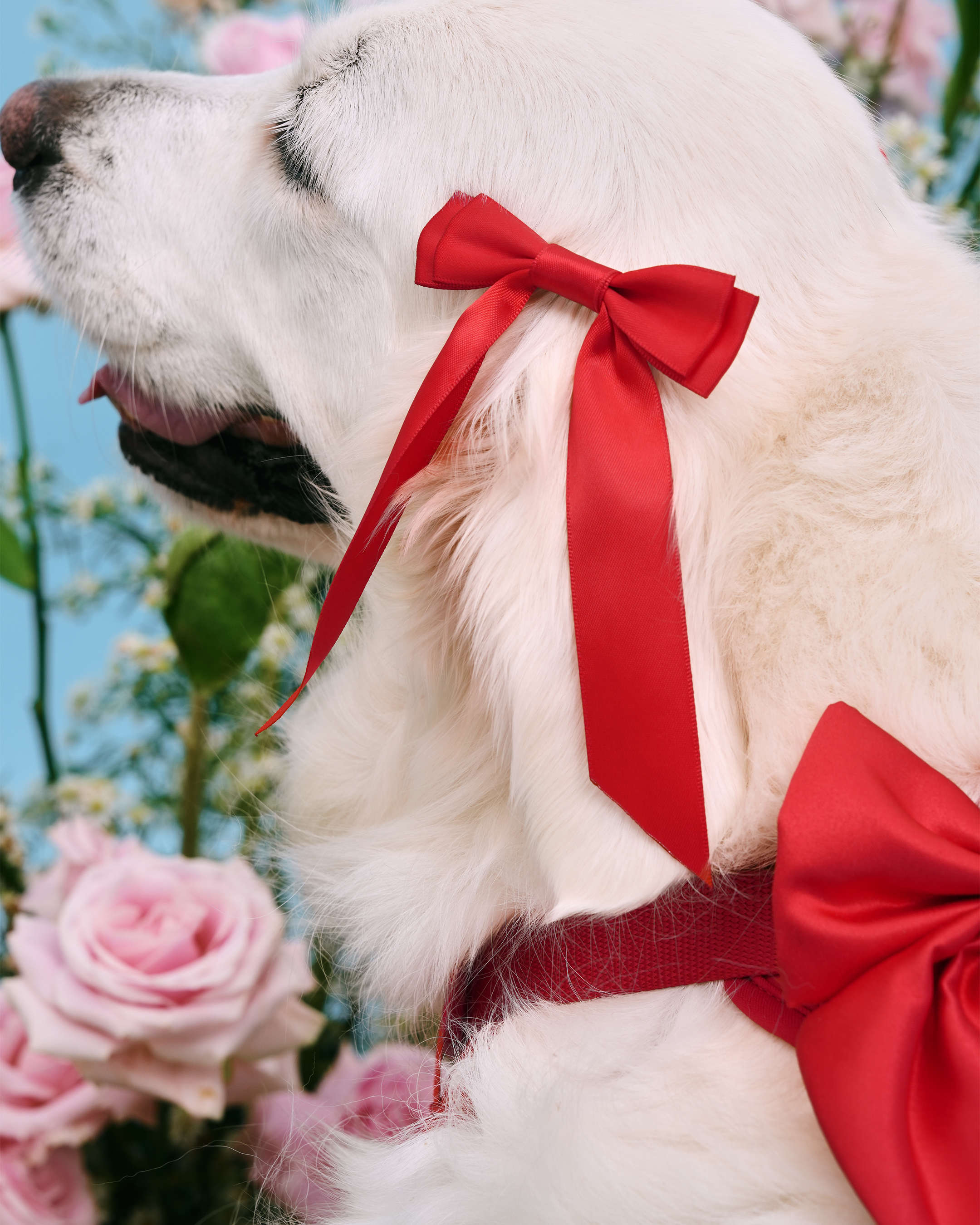 Petite Bow Clips - Cherry - FURRY MUSE WAN - HAC - OS - RD