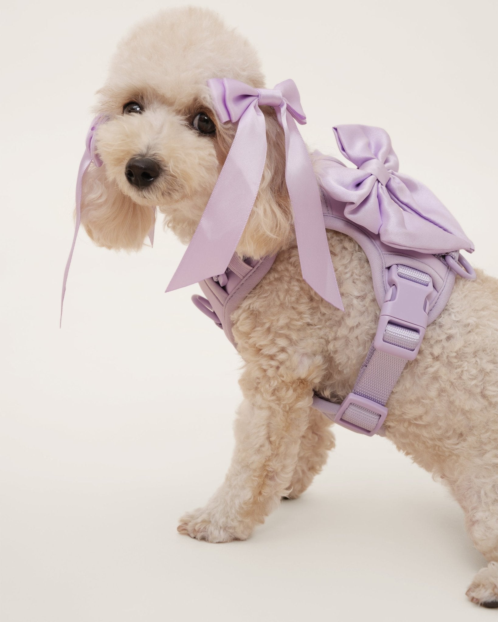 Petite Bow Clips - Lilac - FURRY MUSE WAN - HAC - OS - LI