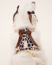 Petite Bow Clips - Midnight - FURRY MUSE WAN - HAC - OS - BK