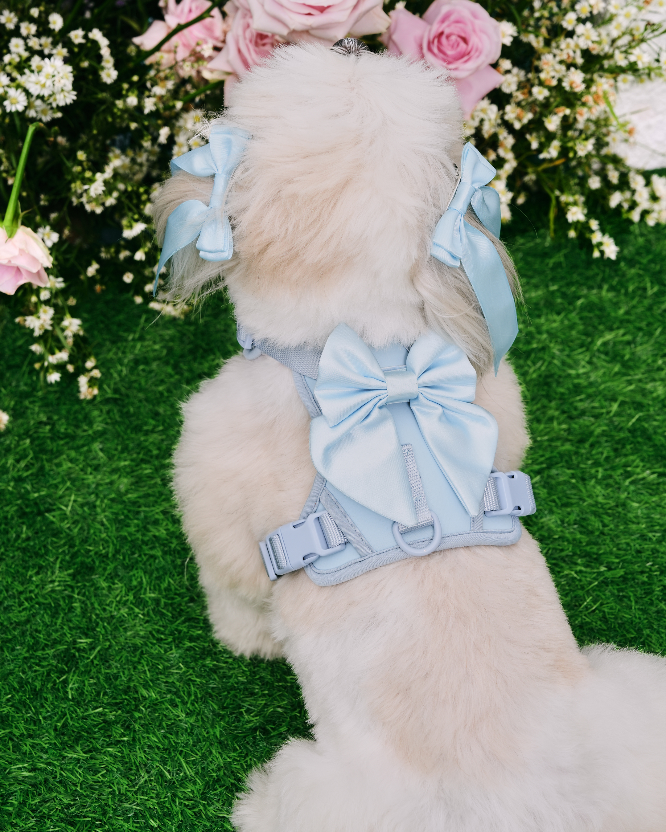 Petite Bow Clips - Sky - FURRY MUSE WAN - HAC - OS - BL