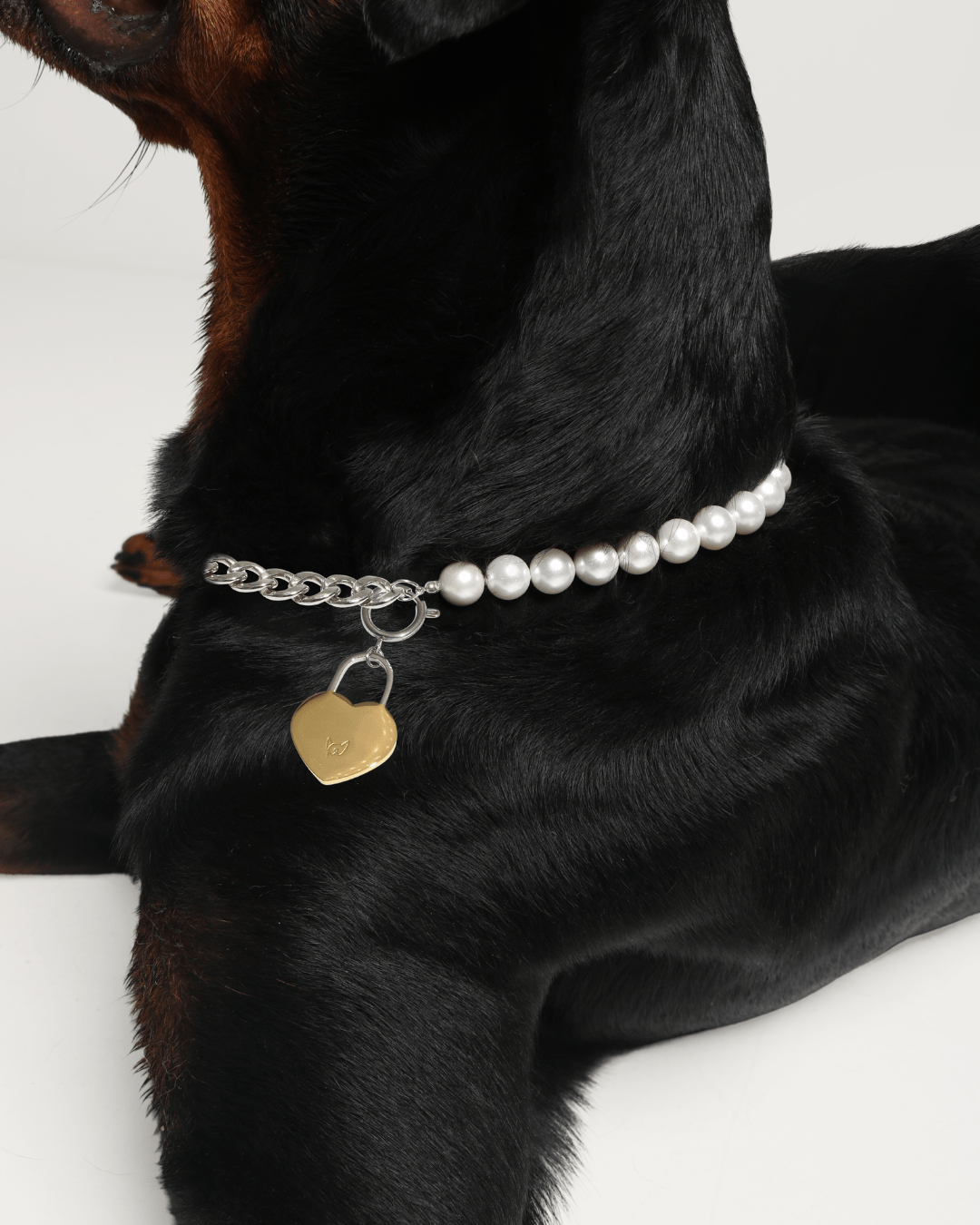 Dog Necklace Accessory | The Lola Necklace – FURRY MUSE