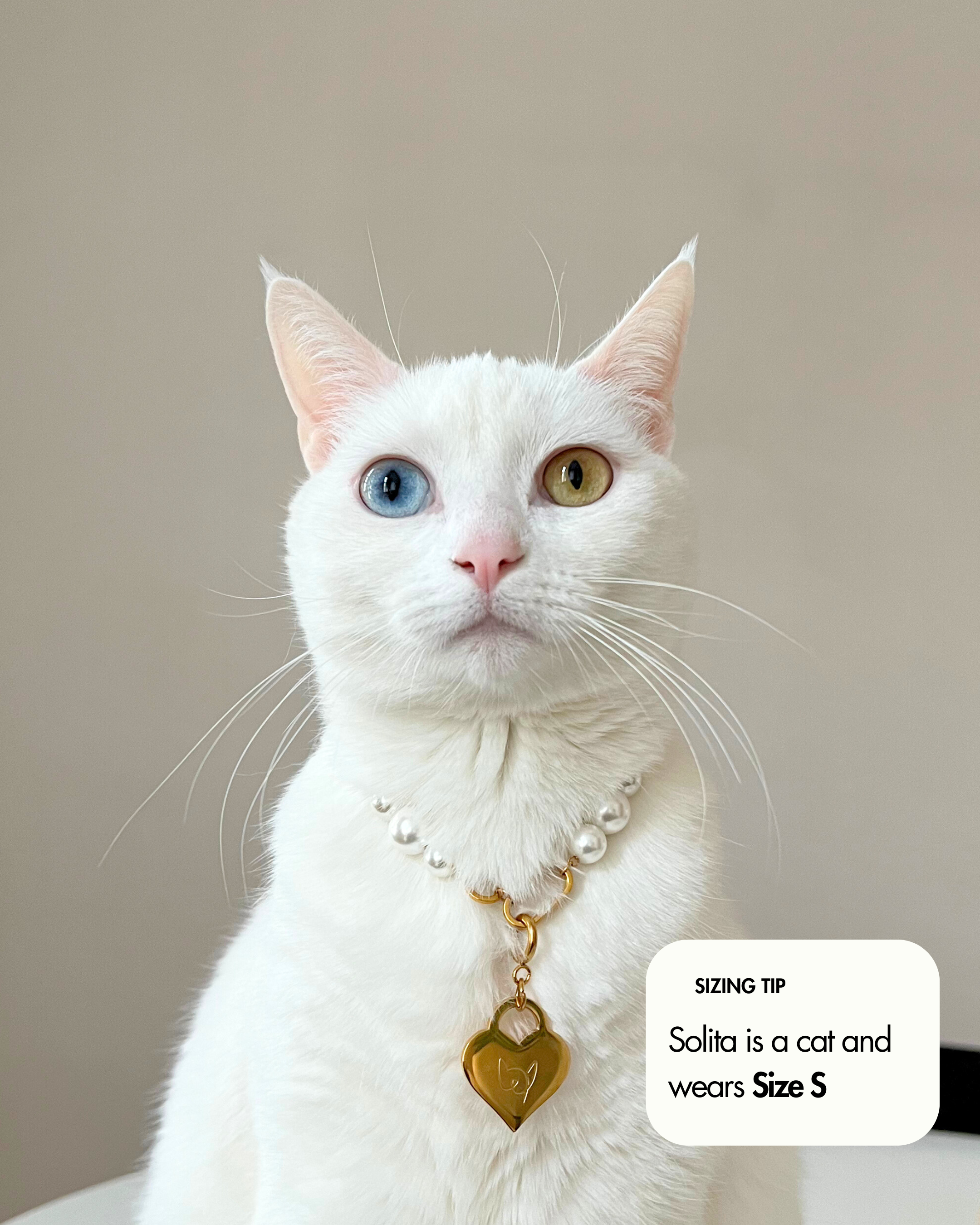 The Zoe Necklace - FURRY MUSE FW24 - NK - M02 - S