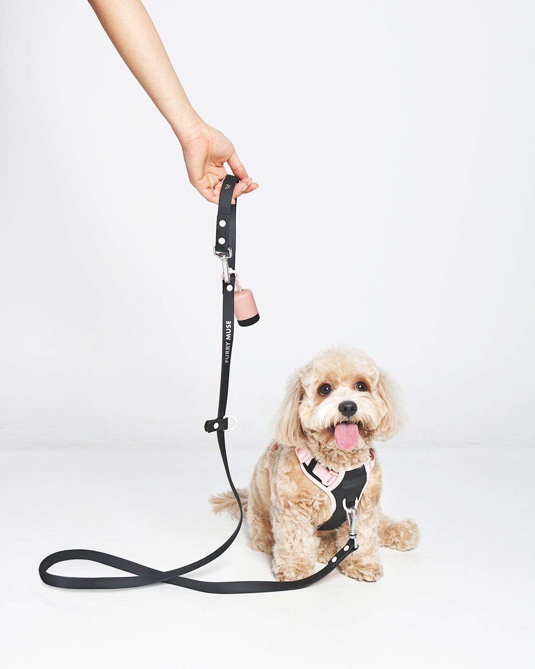 Wander Ballerina Multiway DuraWeave Leash & Poop Pouch - Furry Muse WAN-LEA-OS-BK