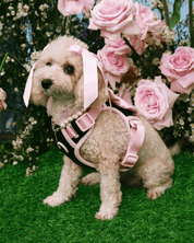 Wander! Bow Harness Kit Ballerina - FURRY MUSE WAN - BOW - HKIT - XS - BK