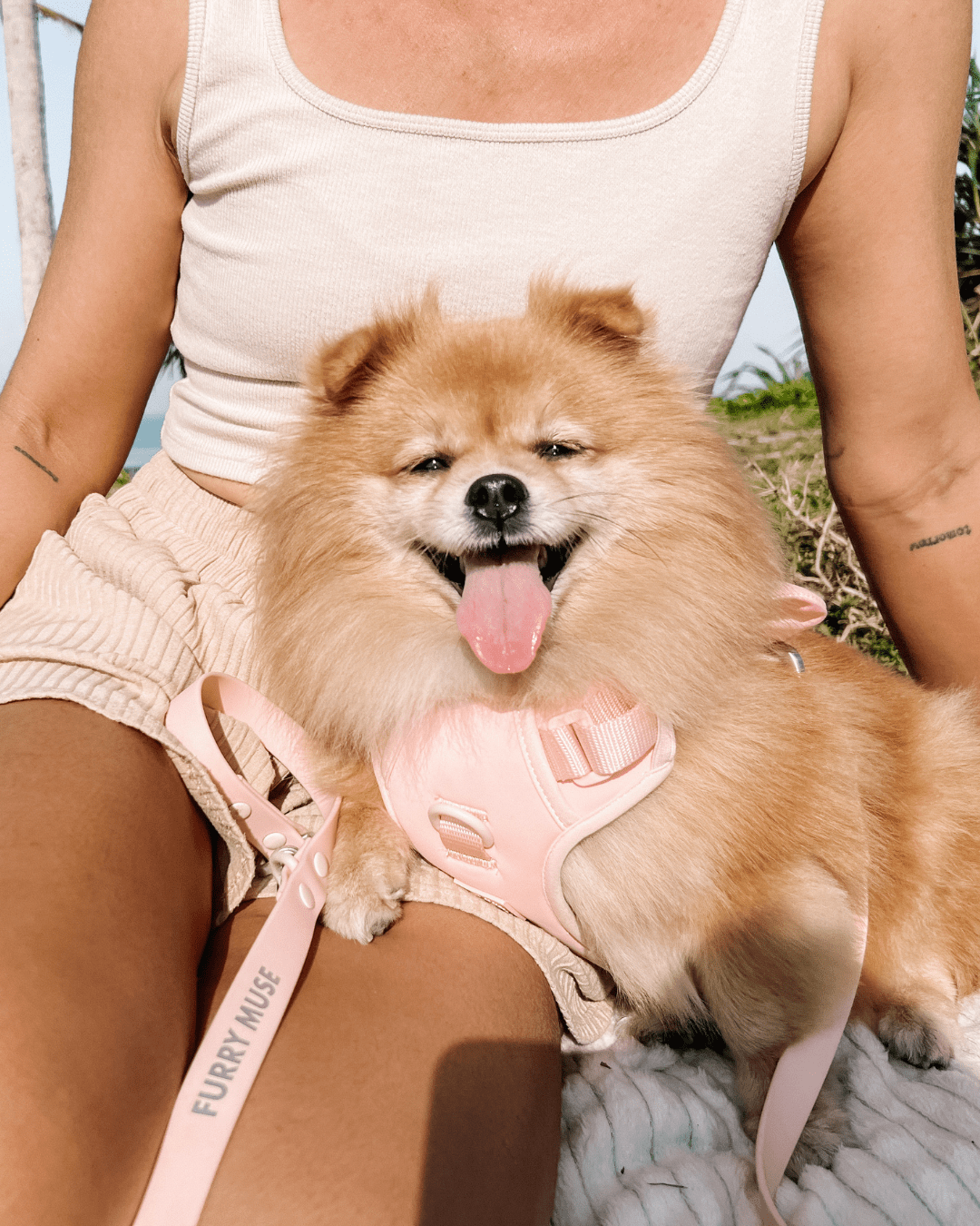 Wander! Bow Harness Kit Blossom - FURRY MUSE WAN - BOW - HKIT - XS - PN