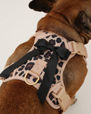 Wander! Bow Harness Kit Leopard - FURRY MUSE WAN - BOW - HKIT - XS - LEO