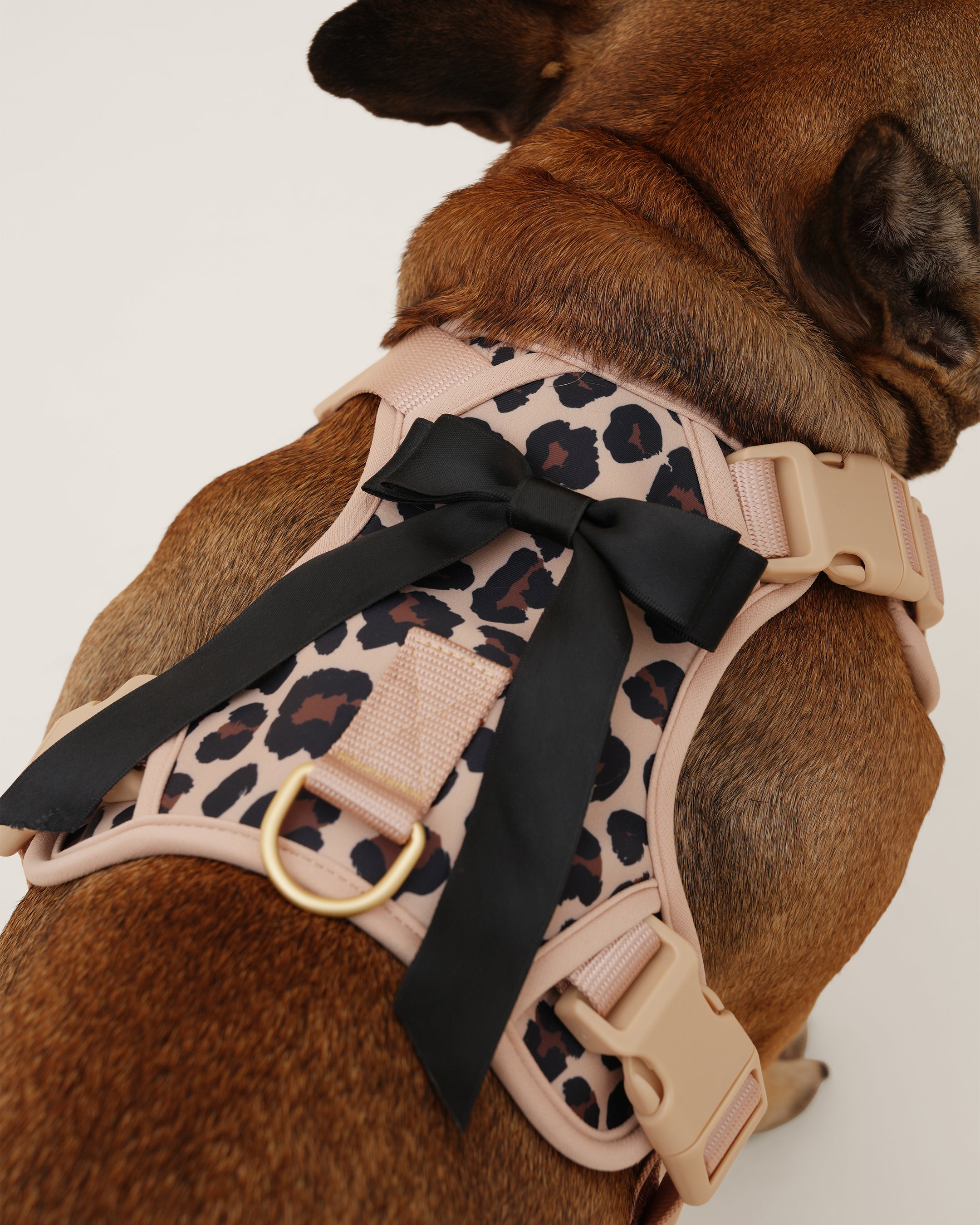 Wander! Bow Harness Kit Leopard - FURRY MUSE WAN - BOW - HKIT - XS - LEO