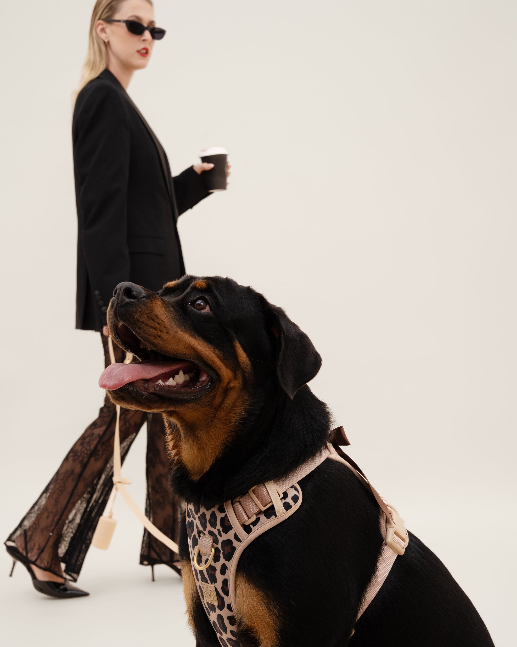 Wander! Bow Harness Kit Leopard - FURRY MUSE WAN - BOW - HKIT - XS - LEO