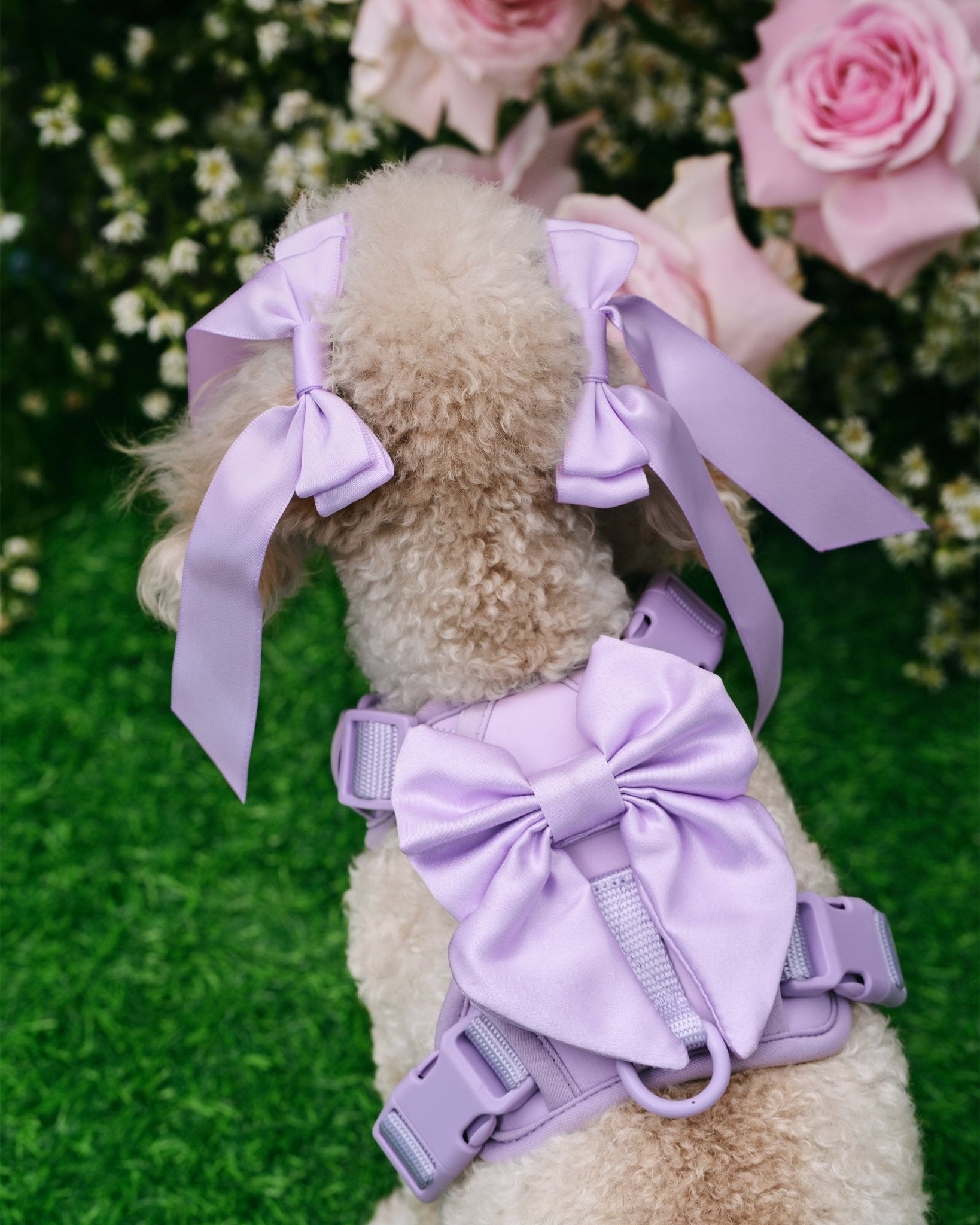 Wander! Bow Harness Lilac - FURRY MUSE WAN - HAR2 - XS - LI