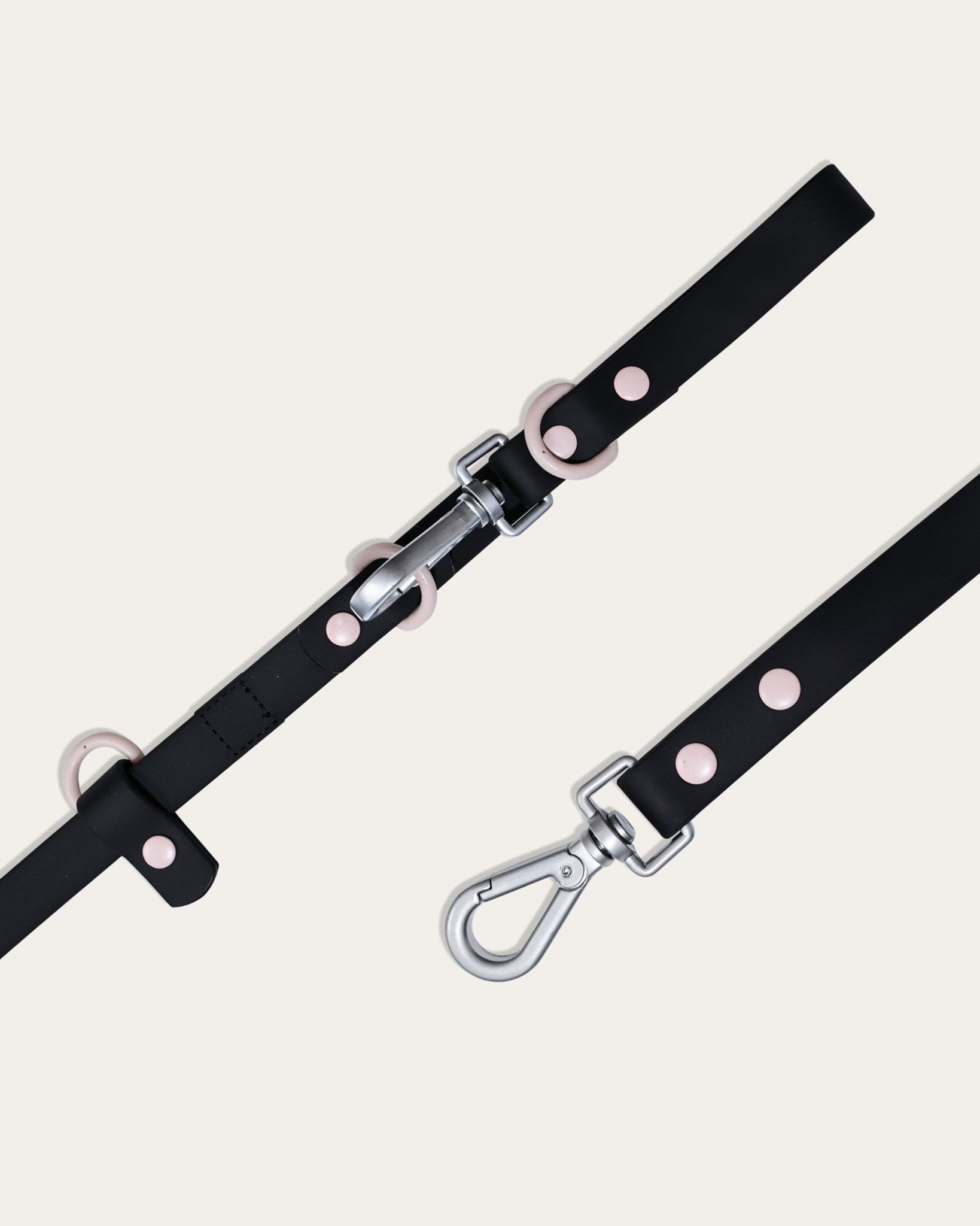 Wander! Collar, Leash, & Poop Pouch Kit Ballerina - FURRY MUSE WAN - CKIT - S - BK