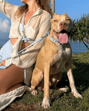 Wander! Multiway Waterproof Leash Sky - FURRY MUSE WAN - LEA - S - BL
