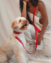 Wander! Waterproof Collar Cherry - FURRY MUSE WAN - COL - S - RD