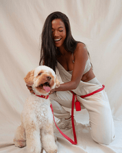 Wander! Waterproof Collar Cherry - FURRY MUSE WAN - COL - S - RD
