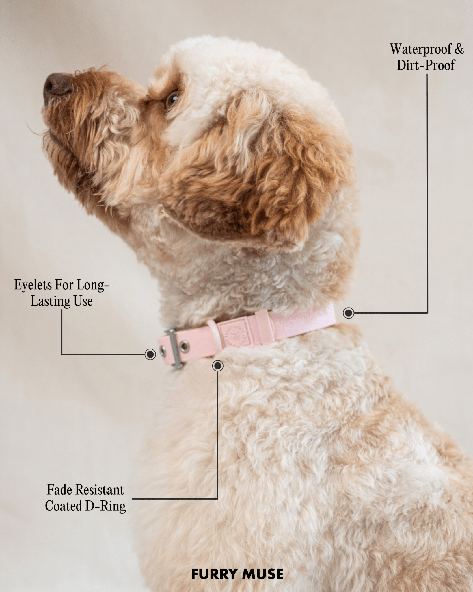 Wander! Waterproof Collar Sky - FURRY MUSE WAN - COL - S - BL