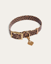 Wander! Waterproof Leopard Collar & Leash Kit - FURRY MUSE -