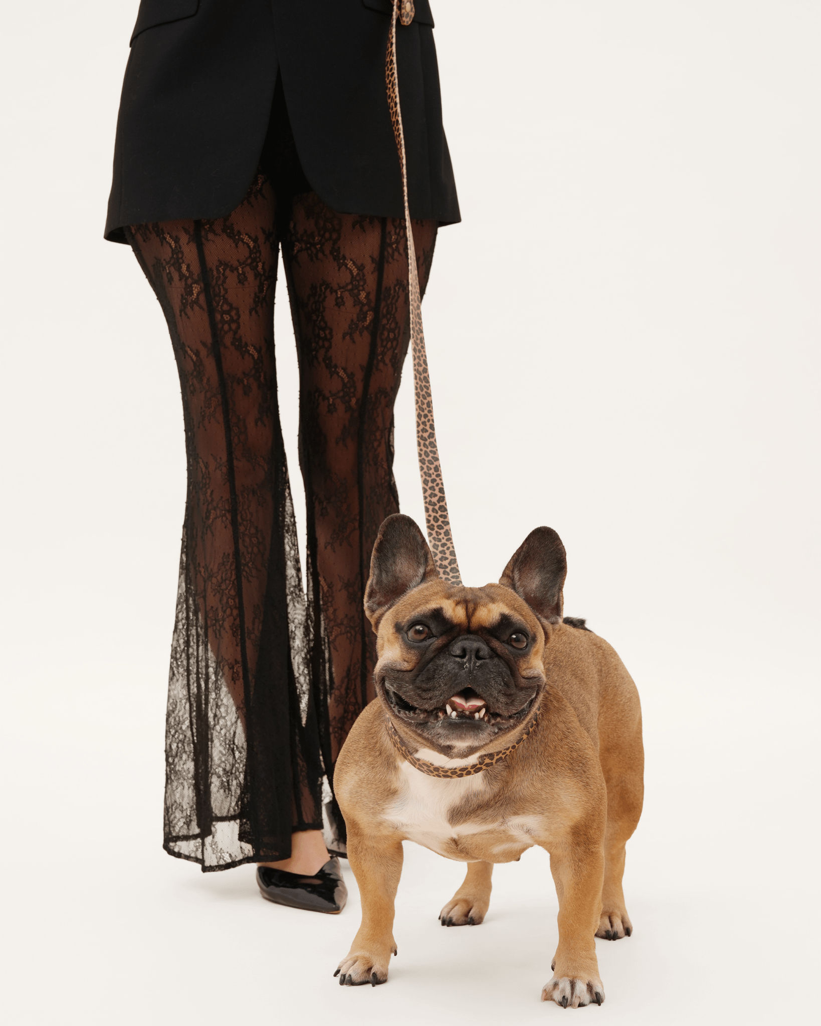 Wander! Waterproof Leopard Collar & Leash Kit - FURRY MUSE WAN - KIT - S - LEO