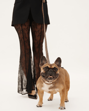 Wander! Waterproof Leopard Collar & Leash Kit - FURRY MUSE WAN - KIT - S - LEO