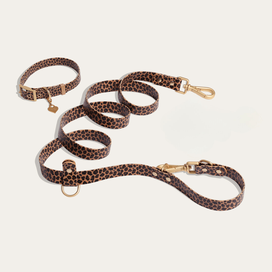 Wander! Waterproof Leopard Collar & Leash Kit - FURRY MUSE -