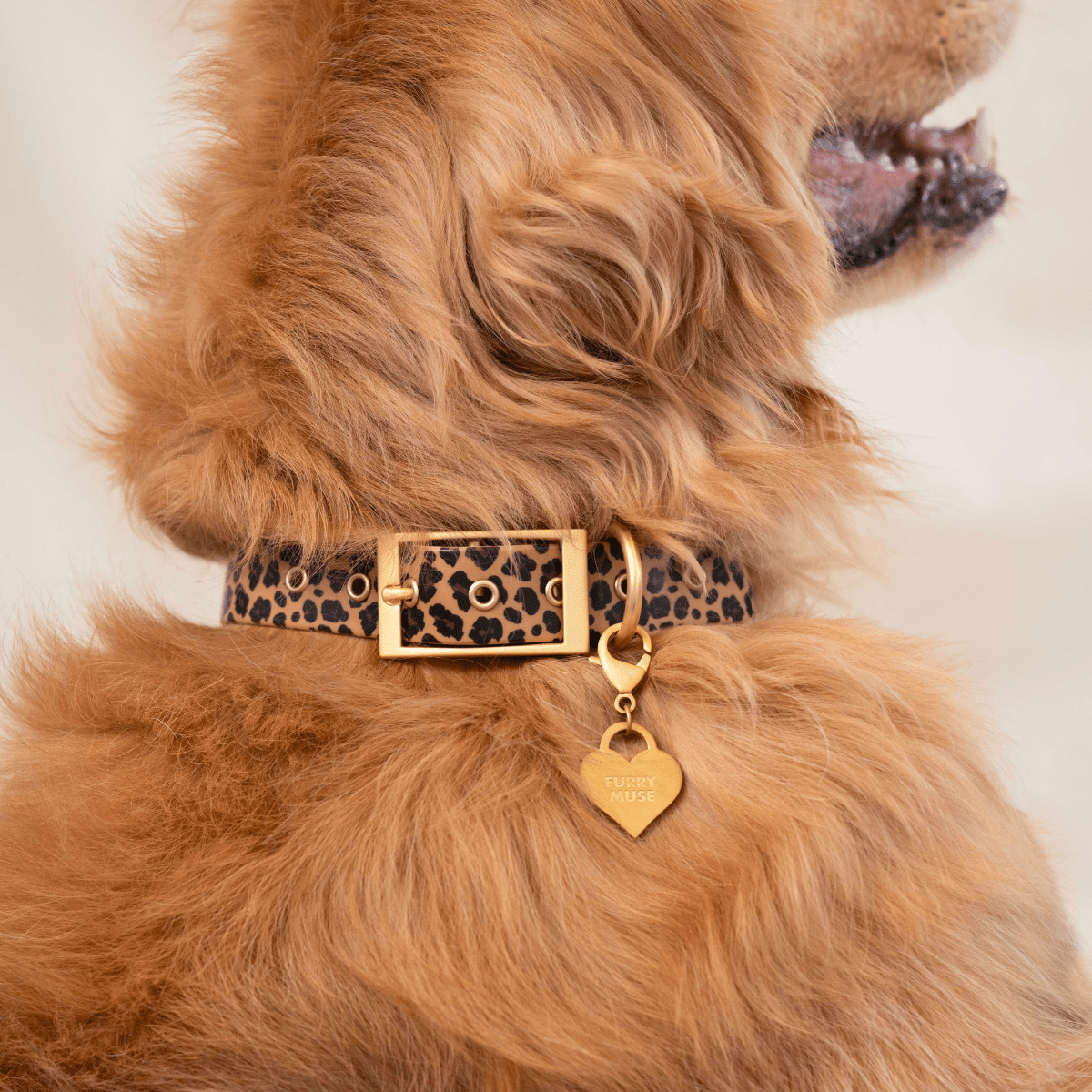 Dog Collars - FURRY MUSE