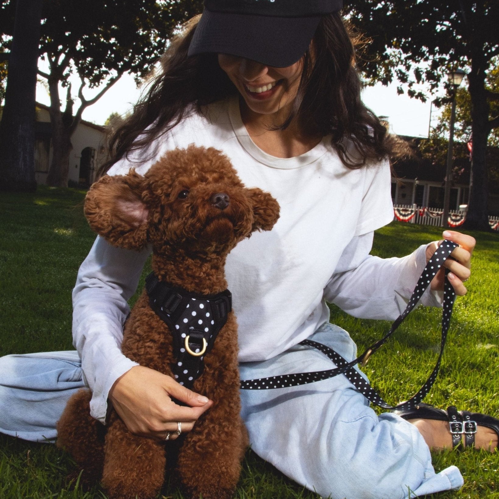 Wander! Bow Harness 2.0 - Midnight Polka Dot - FURRY MUSE WAN-HAR3-XS-BKP