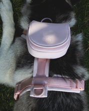 All Day Mini Backpack - Blossom