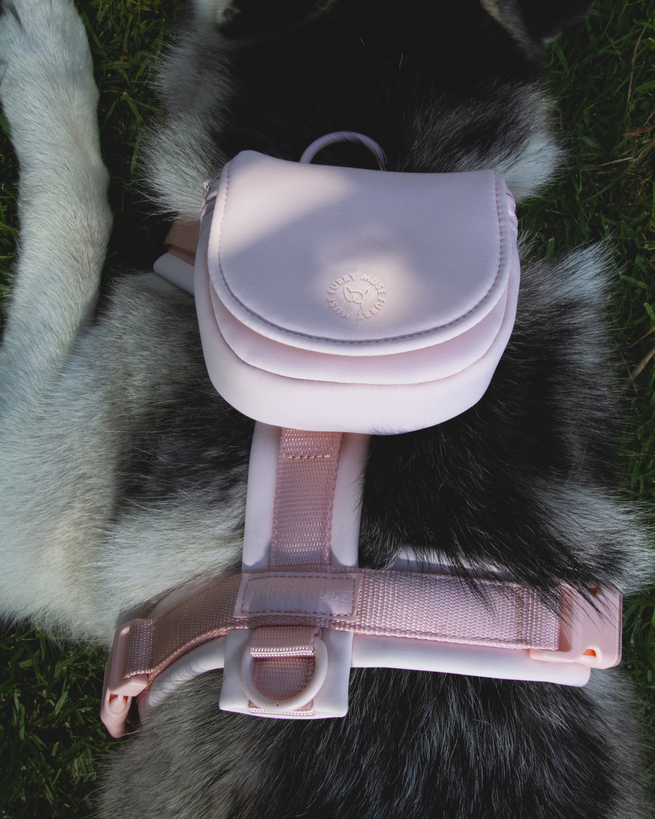 All Day Mini Backpack - Blossom