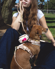 Align Y-Harness - Latte