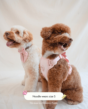 Wander! Bow Harness Kit Blossom - Silver