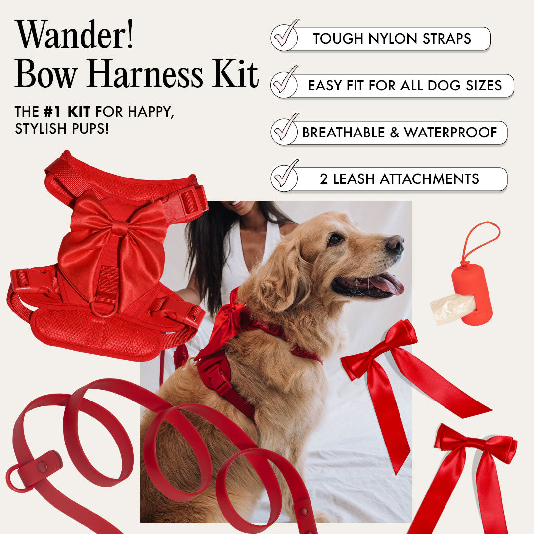 Wander! Bow Harness Kit