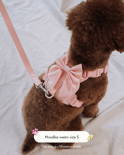 Wander! Bow Harness Kit Blossom - Silver