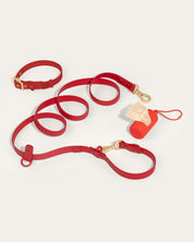 Wander! Collar, Leash, & Poop Pouch Kit Cherry