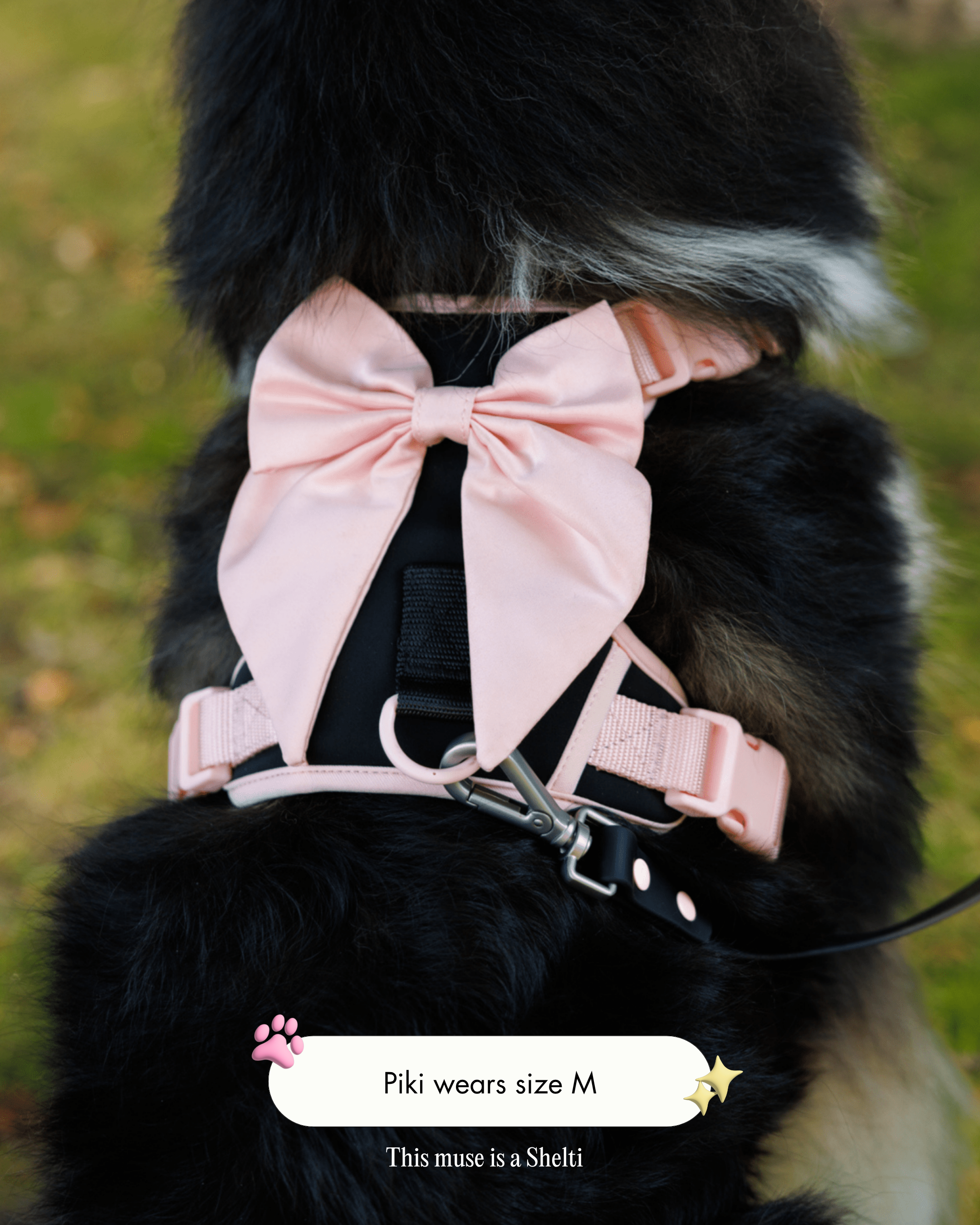 Wander! Bow Harness Ballerina