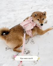 Wander! Bow Harness Kit Blossom - Silver