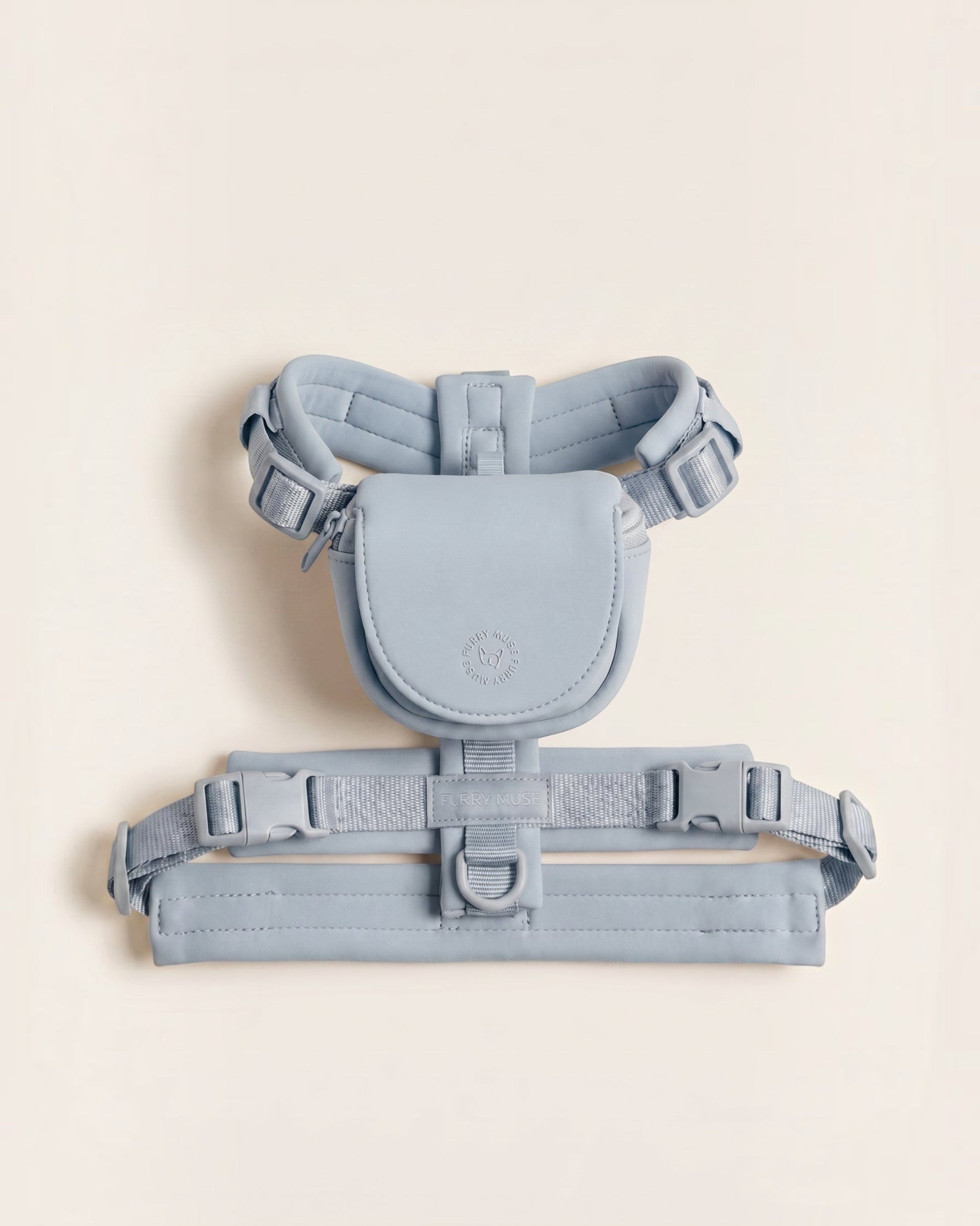 AlignHarness_AllDayMiniBackpack-Sky_80f0f8e6-ffdb-4098-a747-e10ba24ae6ab.jpg