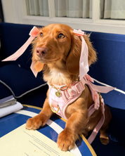 Wander! Bow Harness Kit Blossom Gingham
