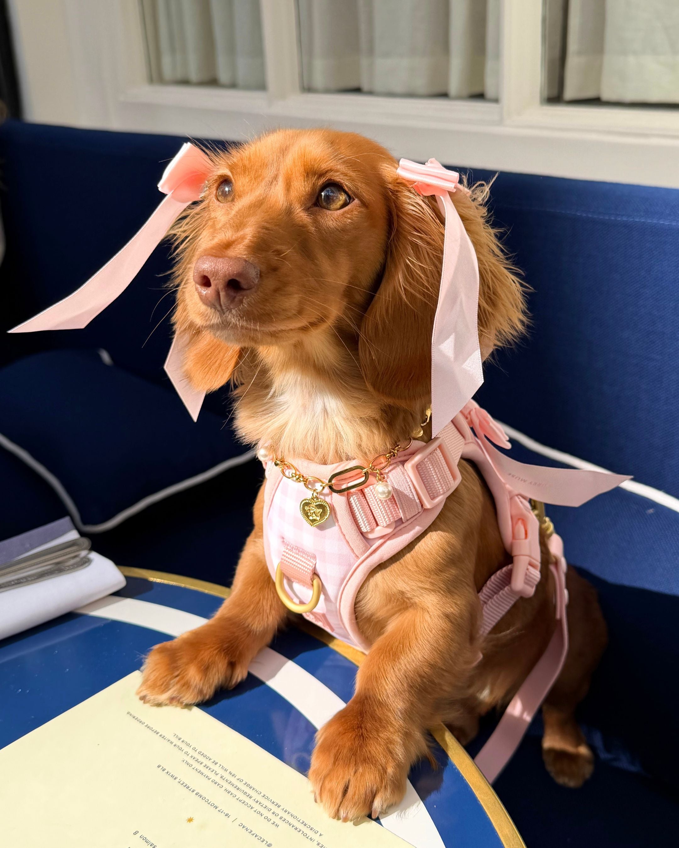 Wander! Bow Harness Kit Blossom Gingham