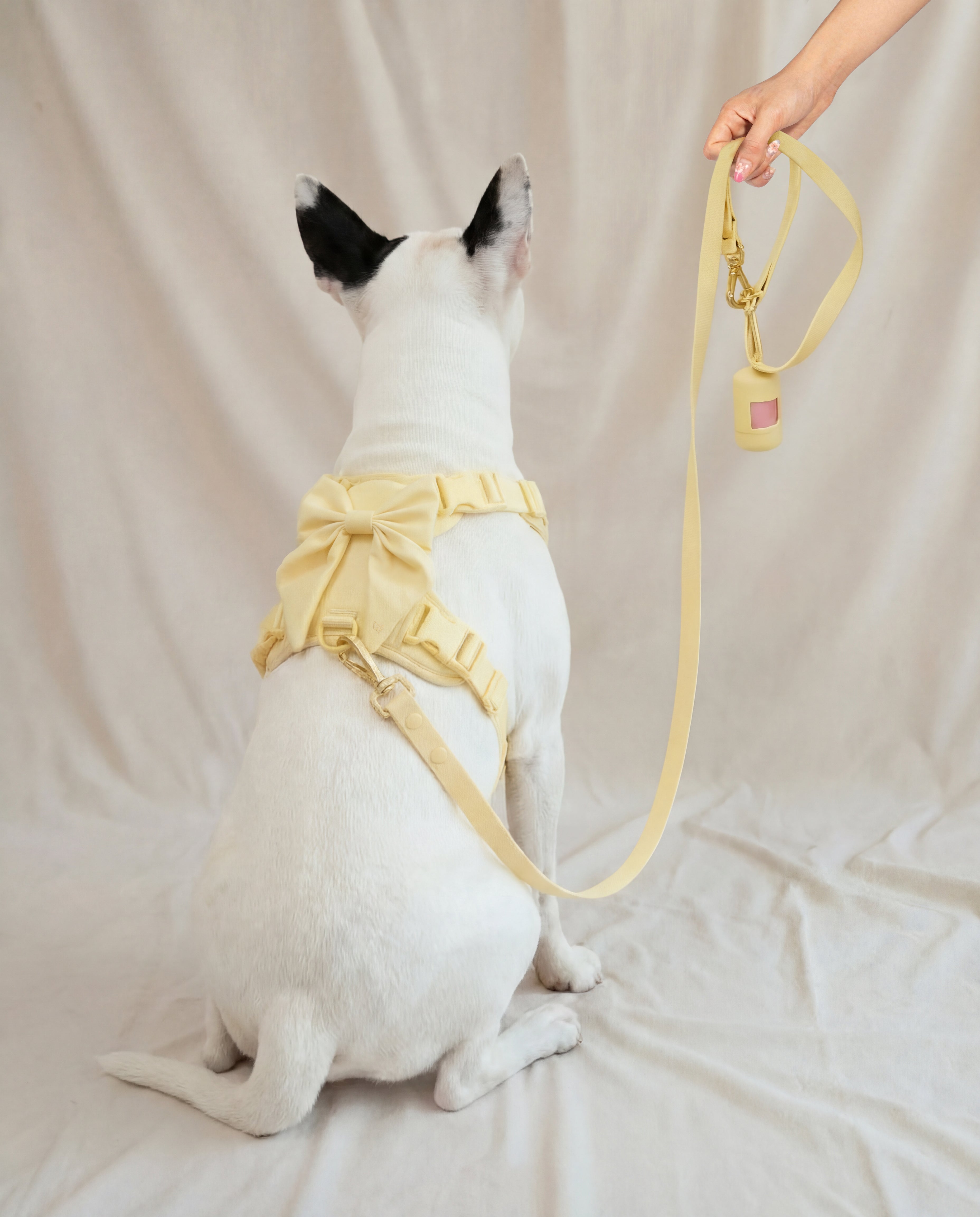 Wander! Multiway Leash - Buttercream