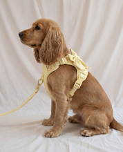 Wander! Multiway Leash - Buttercream