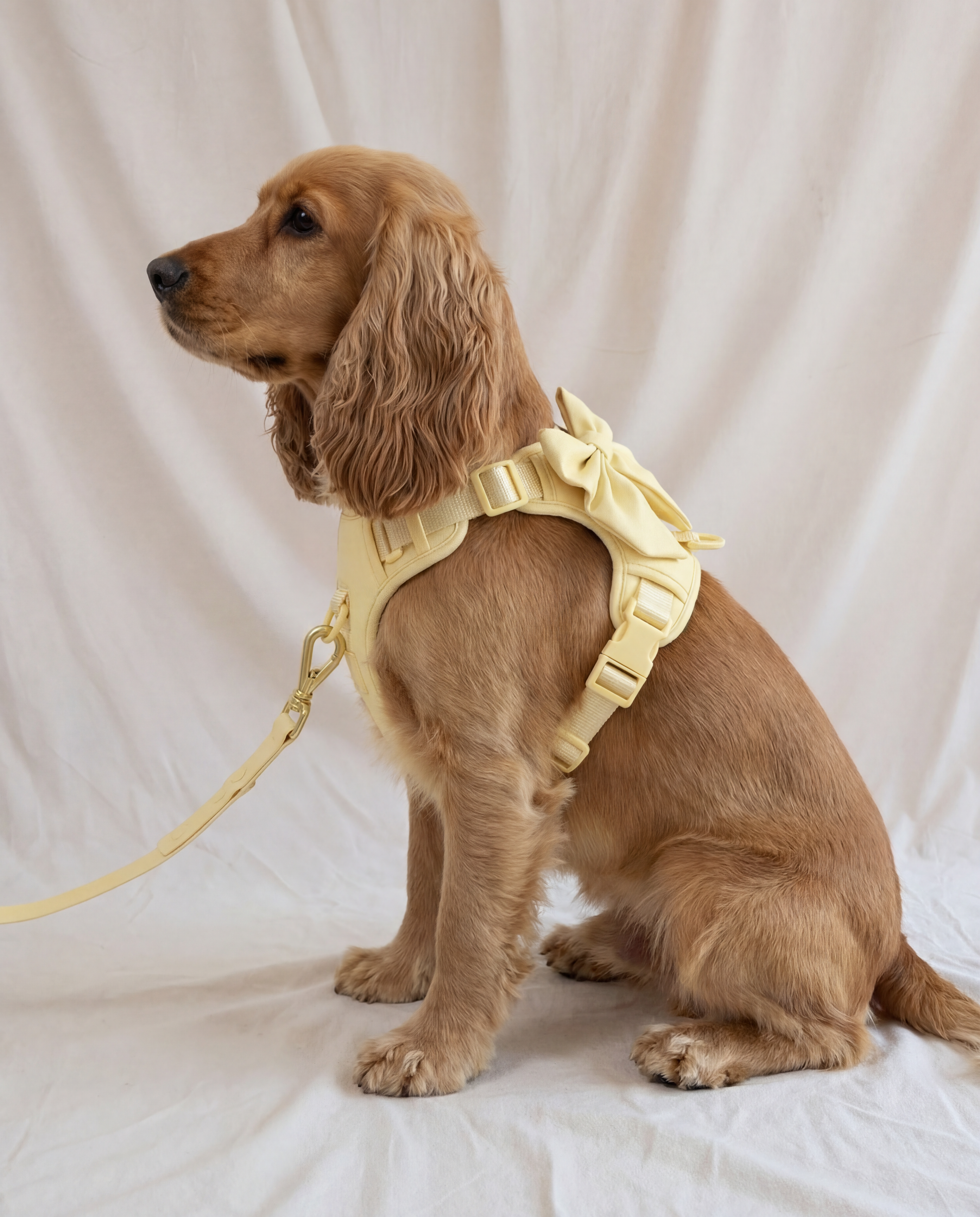 Wander! Multiway Leash - Buttercream