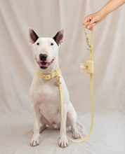 Wander! Collar 2.0 - Buttercream