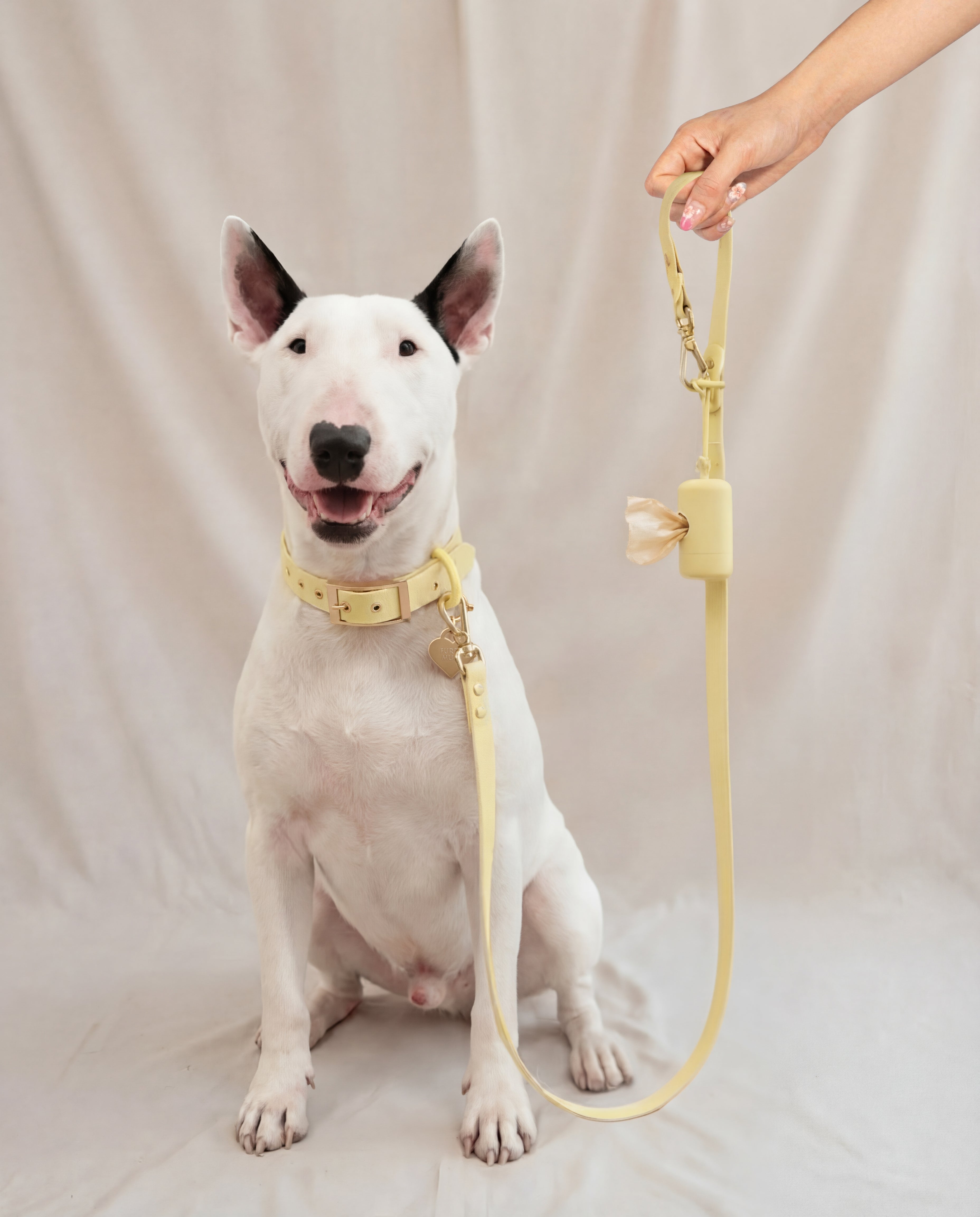 Wander! Collar 2.0 - Buttercream